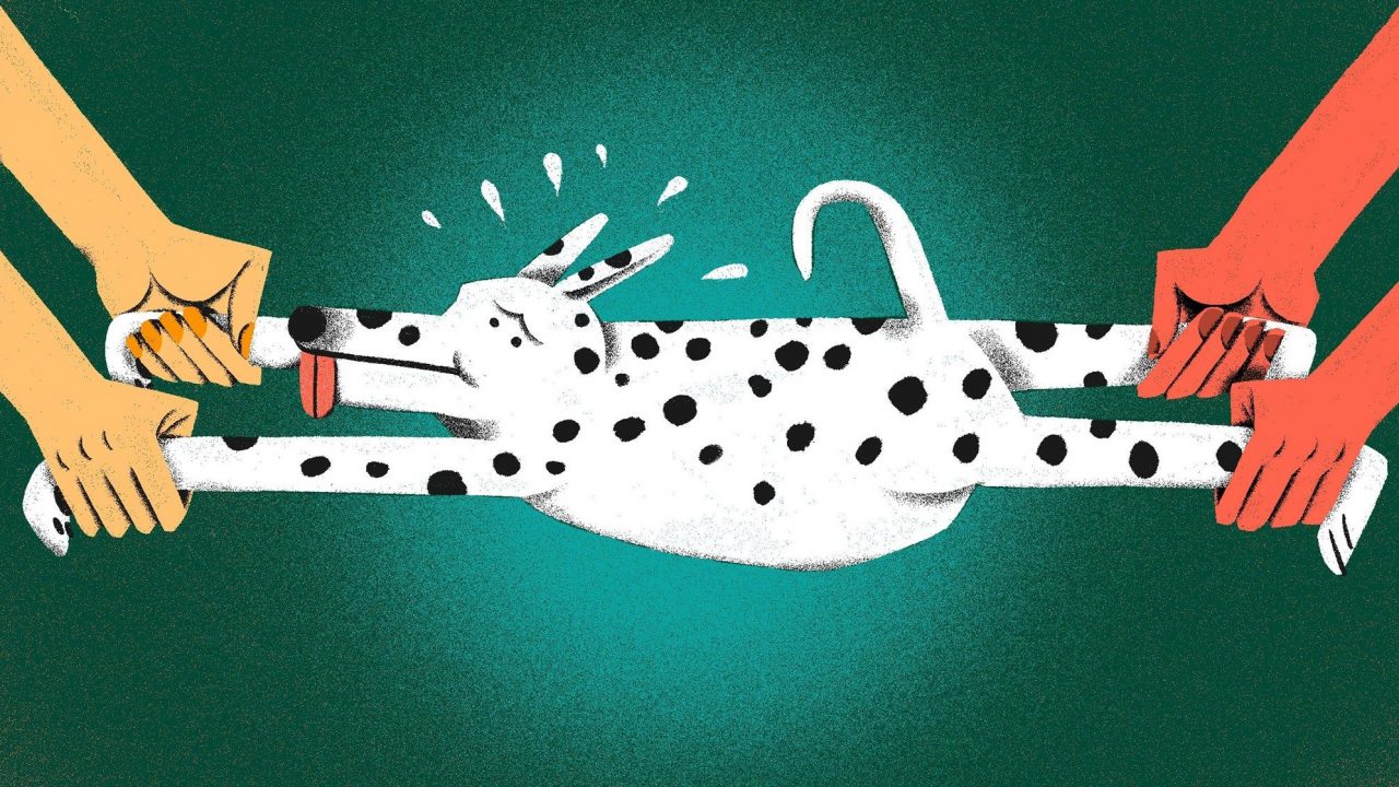 Pet-nups: Dogs and Divorce